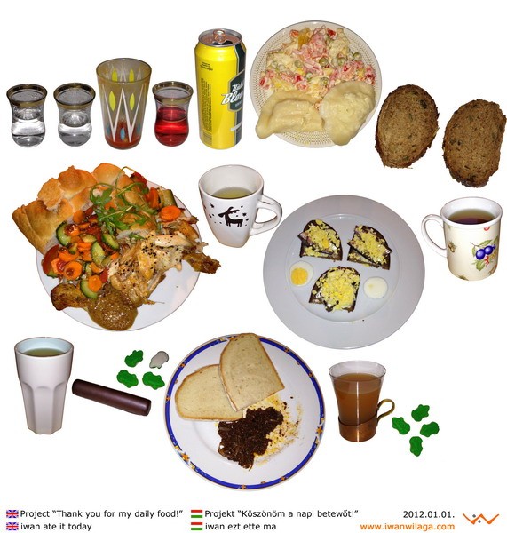 iwan’s daily food in 2012.
